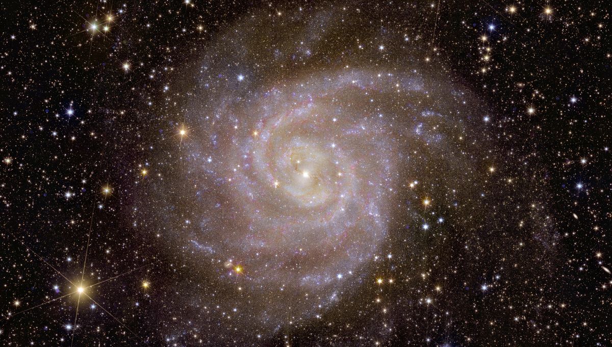 Euclid Unveils Stunning First Full-Color Peek Into the Dark Universe