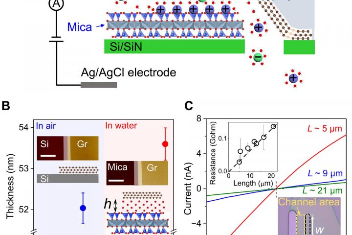 Research Shows Surface Diffusion Boosts Ion Transport in 2D Channels