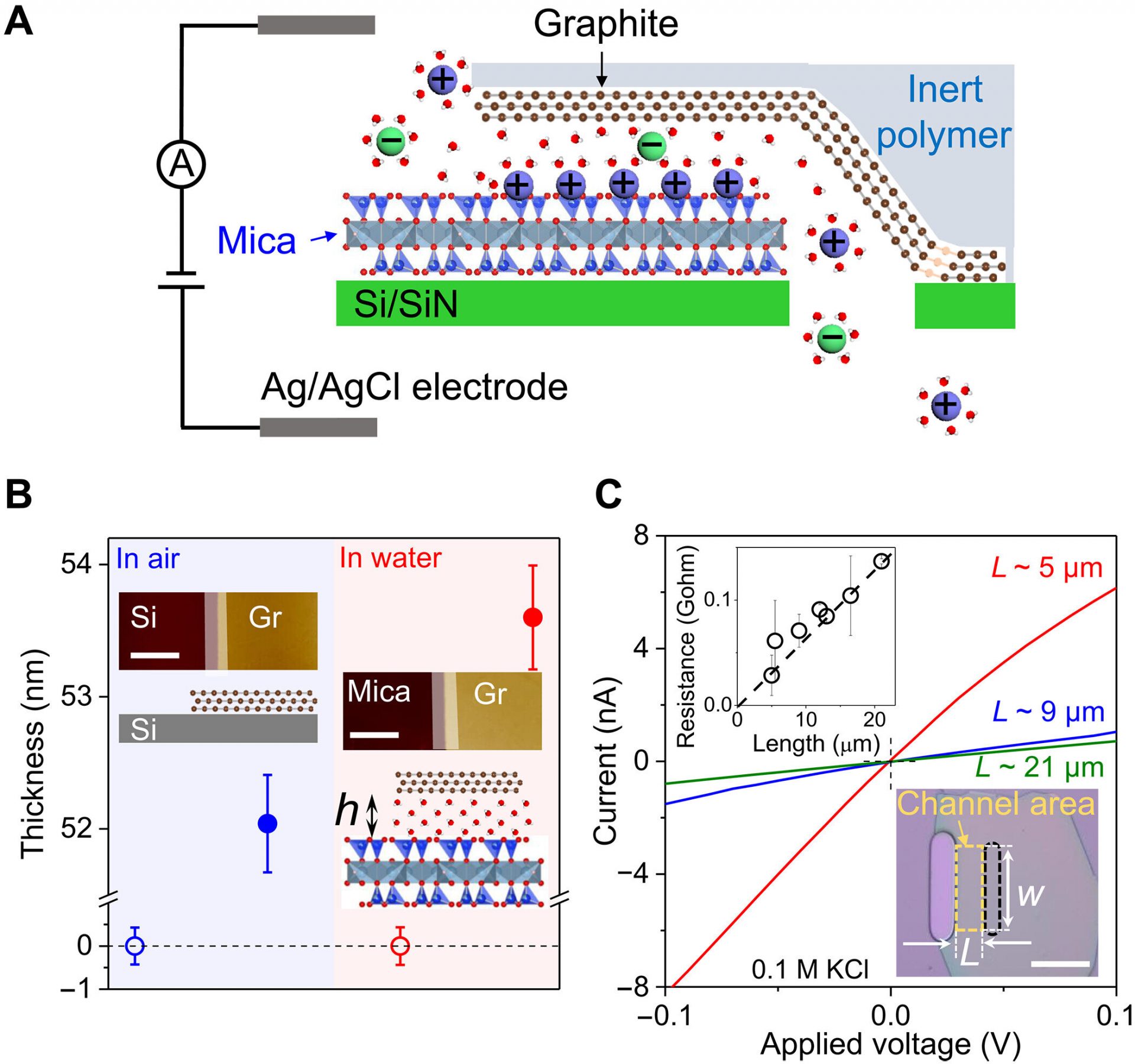 Research Shows Surface Diffusion Boosts Ion Transport in 2D Channels
