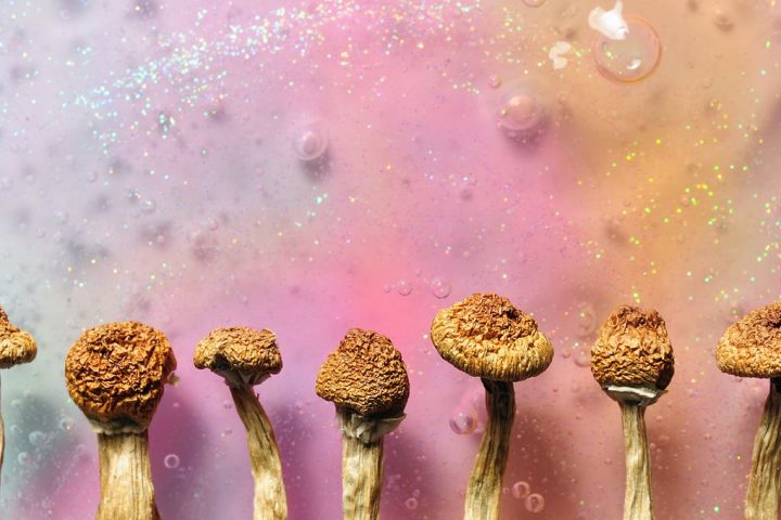 Psilocybin from Shrooms Could Offer Promising Depression Treatment, Meta-Analysis Suggests