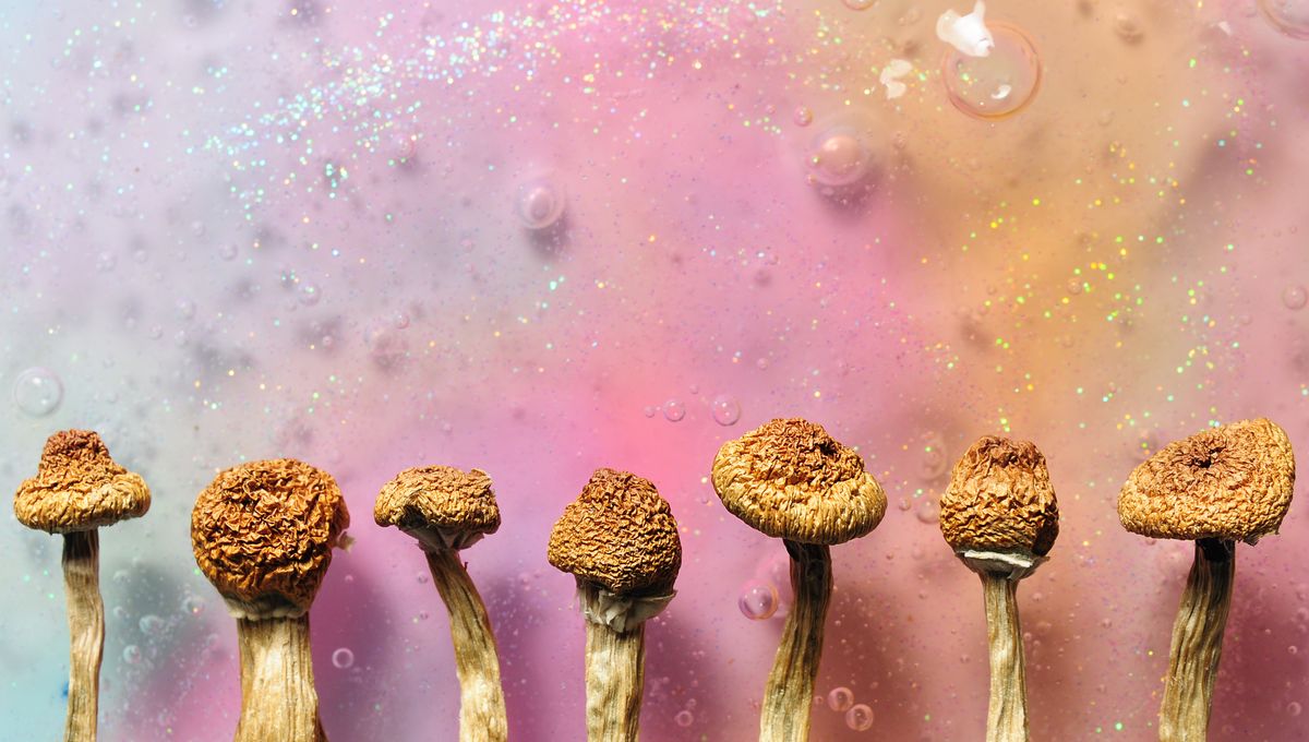 Psilocybin from Shrooms Could Offer Promising Depression Treatment, Meta-Analysis Suggests
