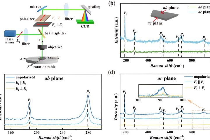 Study uncovers phonon properties of β-MoB₂ single crystal