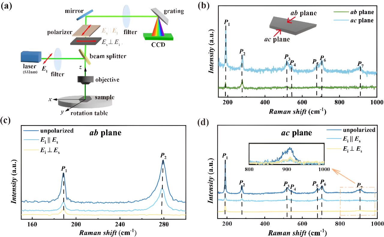 Study uncovers phonon properties of β-MoB₂ single crystal