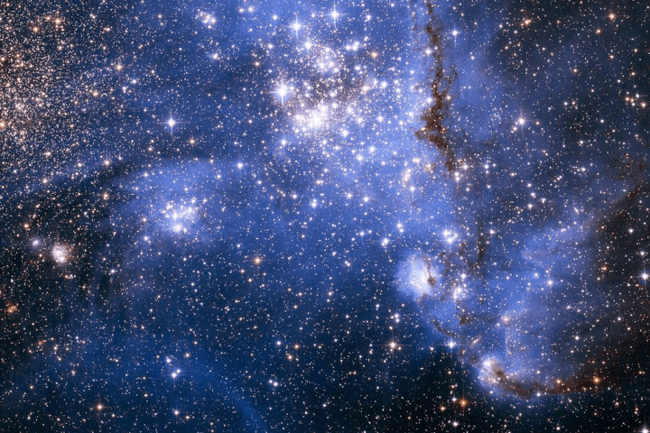 Massive Magnetic Stars Found Beyond Milky Way