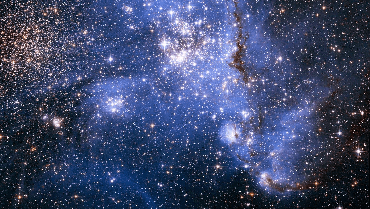 Massive Magnetic Stars Found Beyond Milky Way
