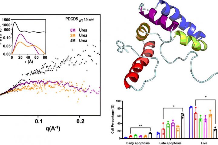Uncovering the Complex Interactions of Proteins: Deciphering How Parasites Neutralize Host Defenses