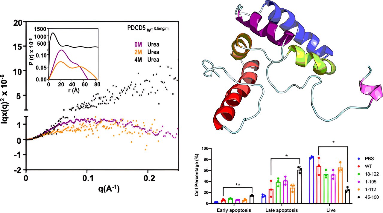 Uncovering the Complex Interactions of Proteins: Deciphering How Parasites Neutralize Host Defenses