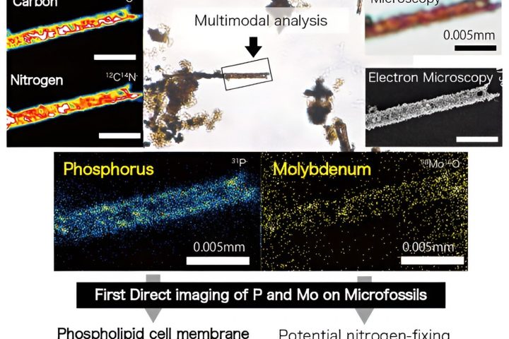 New Method Reveals Insights into Early Cellular and Metabolic Evolution