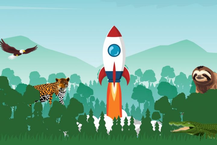 Spaceships and Wild Nature Coexist Around the World