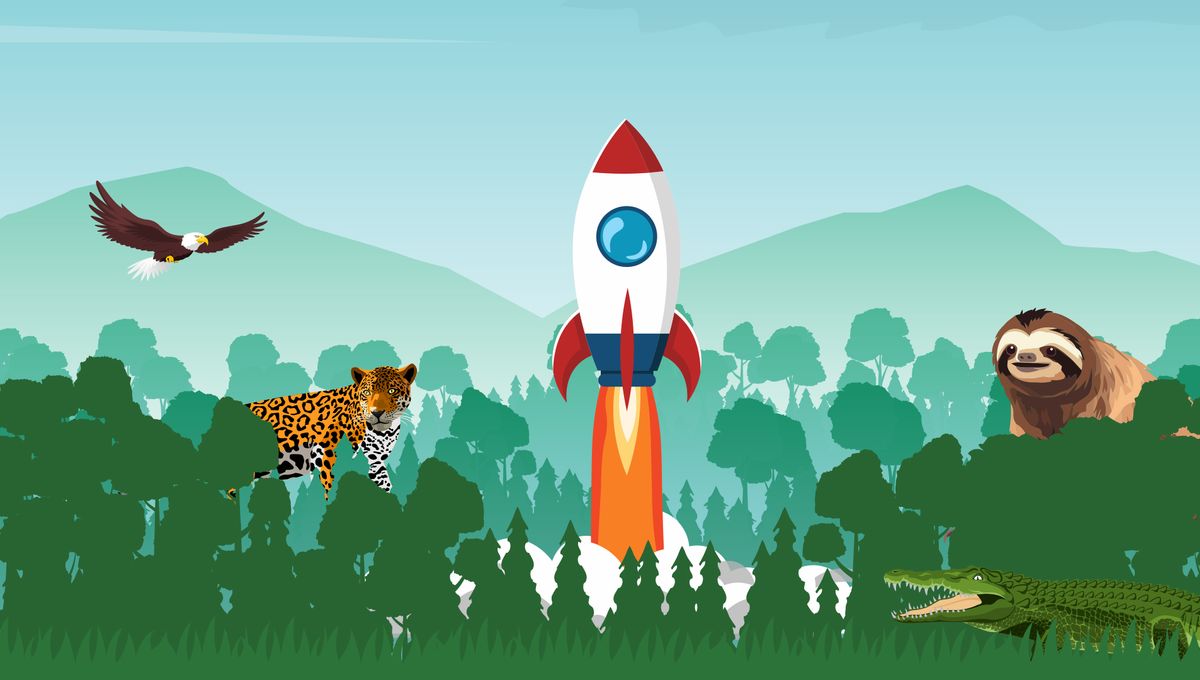 Spaceships and Wild Nature Coexist Around the World